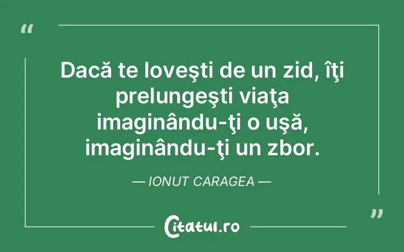 Citat Ionut Caragea - citate viata