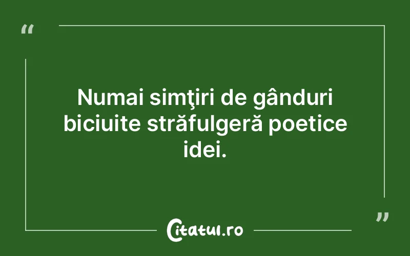 Numai simţiri de gânduri biciuite străfulgeră poetice idei.