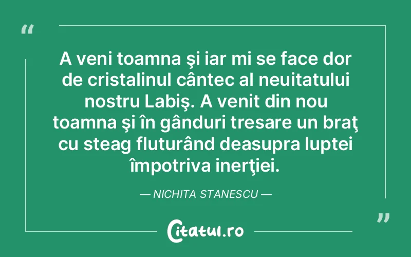 Citat Autor necunoscut - citate viata