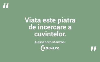 Viata este piatra de incercare a cuvintelor. Alessandro Manzoni...
