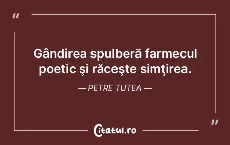 Arată ce ai înăuntru, dar nu te despu... Arată ce ai înăuntru, dar nu te despu...