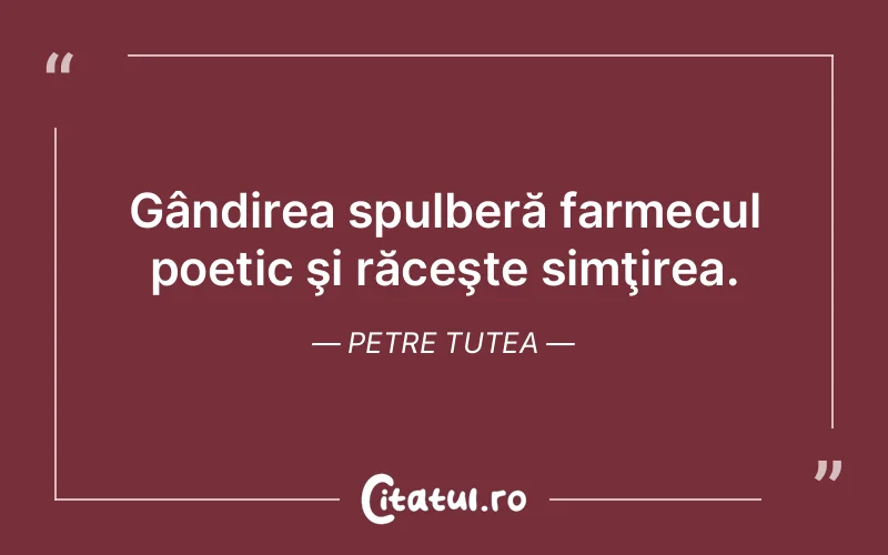 Citat Petre Tutea - citate viata