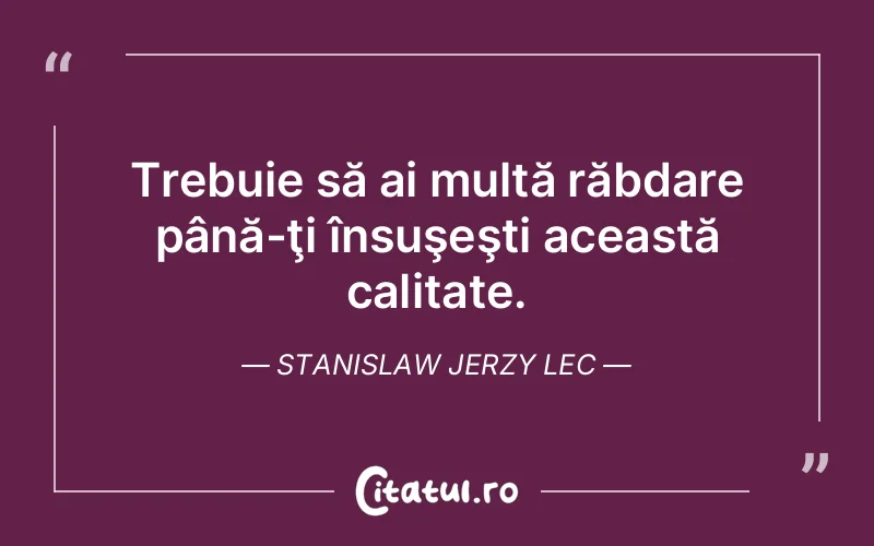 Citat Stanislaw Jerzy Lec - citate viata