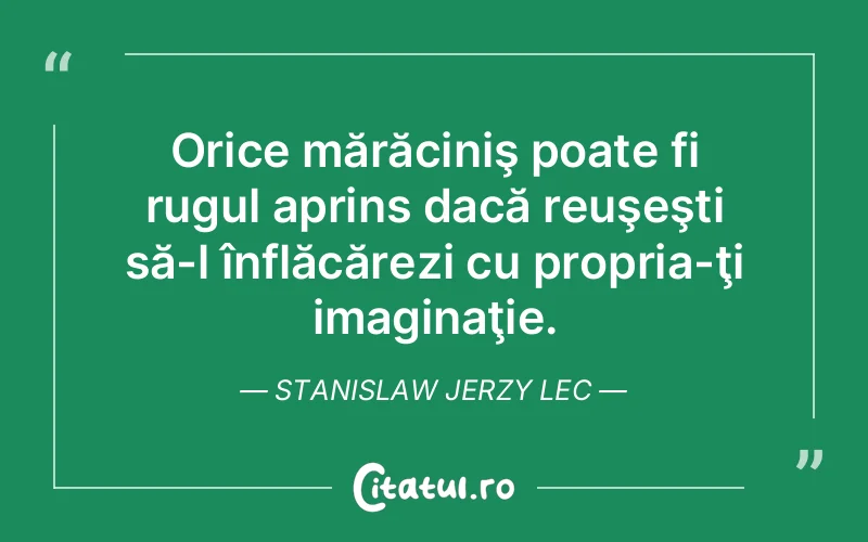 Citat Stanislaw Jerzy Lec - citate viata