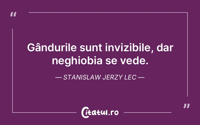 Citat Stanislaw Jerzy Lec - citate viata