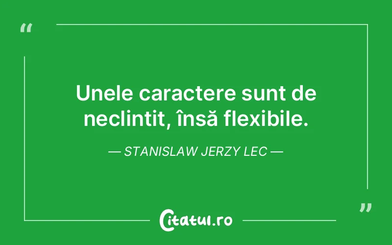 Citat Stanislaw Jerzy Lec - citate viata