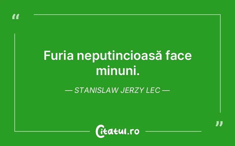 Citat Stanislaw Jerzy Lec - citate viata