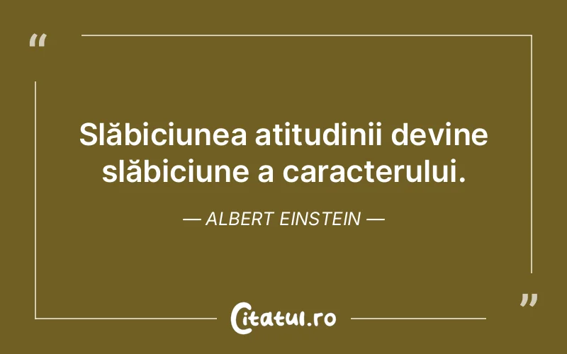 Citat Albert Einstein - citate viata