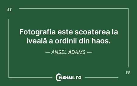 O imagine surprinsă devine o adevăratÄ... O imagine surprinsă devine o adevăratÄ...