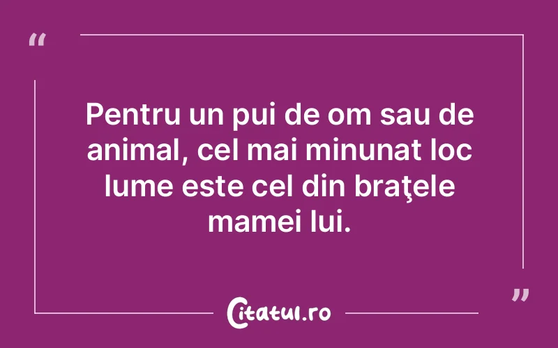 Citat Autor necunoscut - citate viata