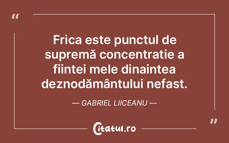 Citat Gabriel Liiceanu - citate viata