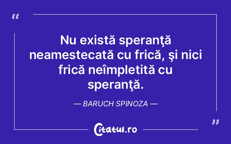 Citat Baruch Spinoza - citate viata