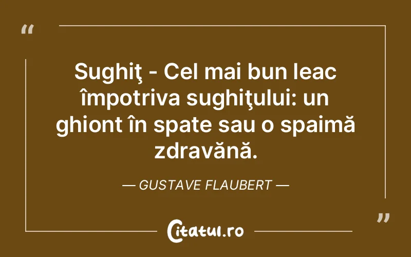 Citat Gustave Flaubert - citate viata