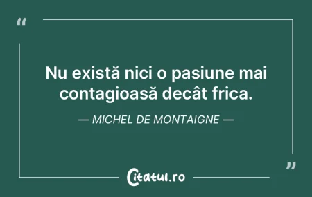 Mai multe cărţi despre cărţi decât ... Mai multe cărţi despre cărţi decât ...