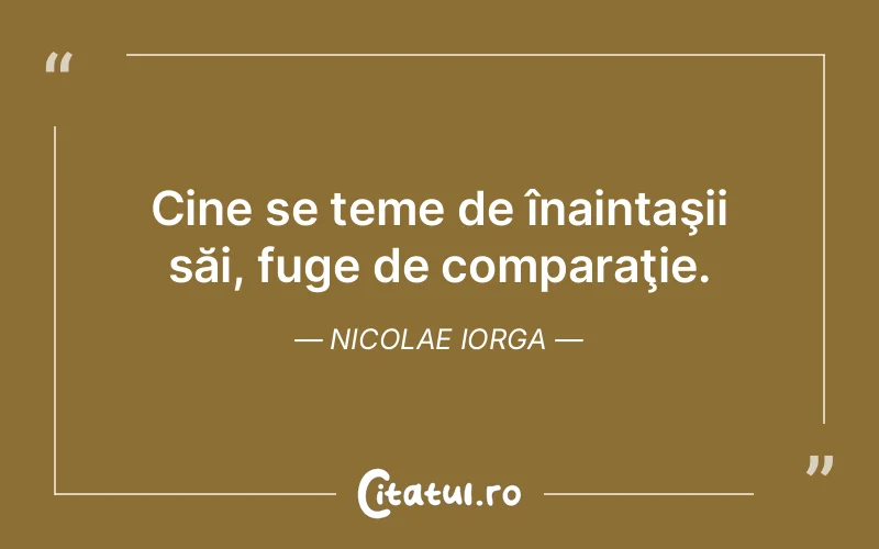 Citat Nicolae Iorga - citate viata