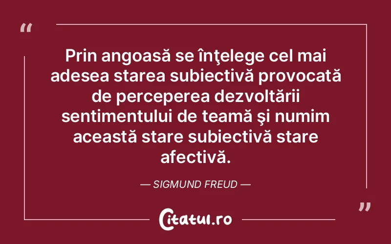 Prin angoasă se înţelege cel mai adesea starea subiectivă provocată de perceperea dezvoltării sentimentului de teamă şi numim această stare subiectivă stare afectivă. Sigmund Freud