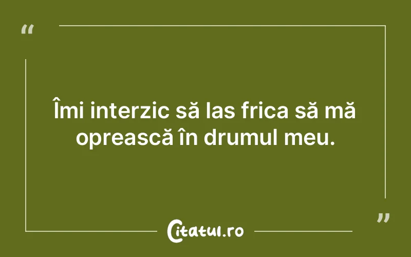Îmi interzic să las frica să mă oprească în drumul meu.