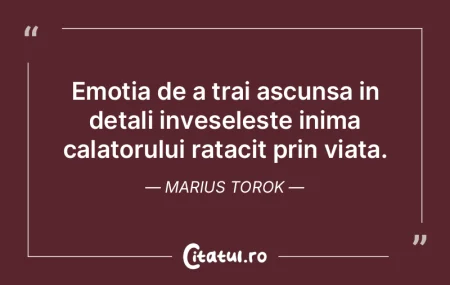 Emotia de a trai ascunsa in detali inves...