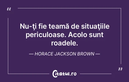 În zgomot şi mulţime sunt veşnic sin...