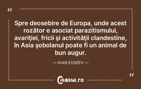 Frica este părintele cruzimii. James An... Frica este părintele cruzimii. James An...