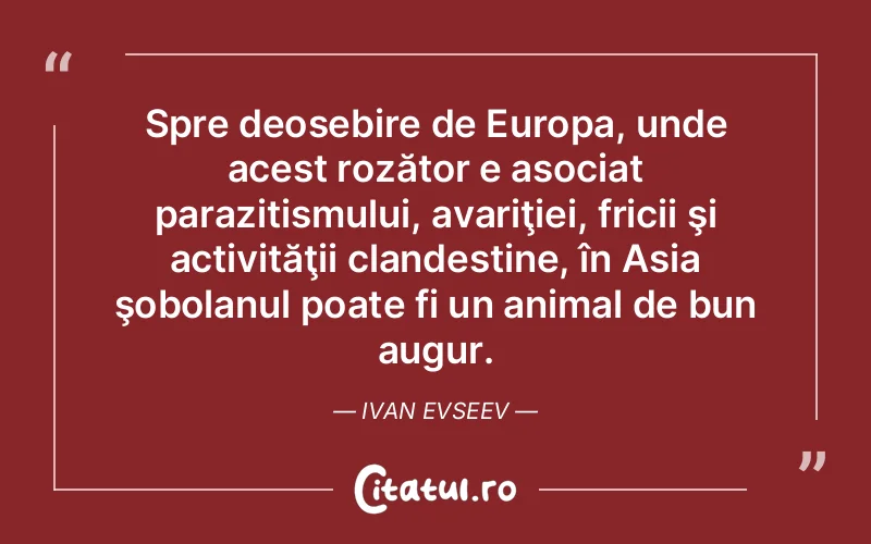 Citat Ivan Evseev - citate viata
