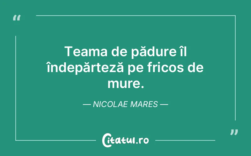 Citat Nicolae Mares - citate viata