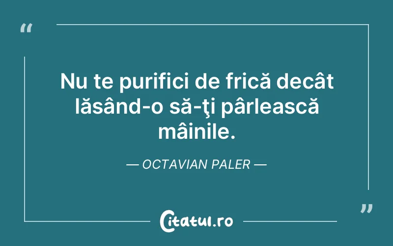 Citat Octavian Paler - citate viata