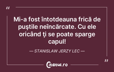 Îţi voi arăta teama într-un pumn de ...