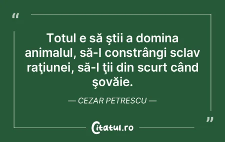 Defectele noastre sunt, de fapt, virtuț... Defectele noastre sunt, de fapt, virtuț...