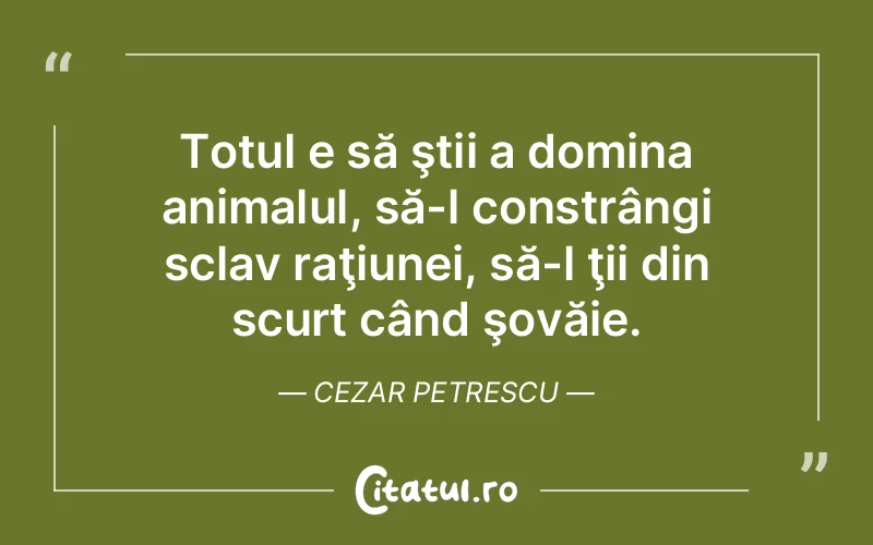 Citat Cezar Petrescu - citate viata
