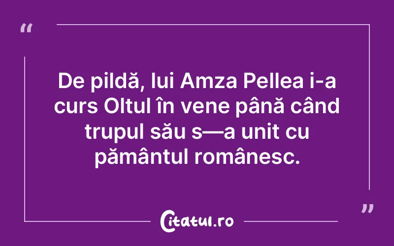 Citat Autor necunoscut - citate viata