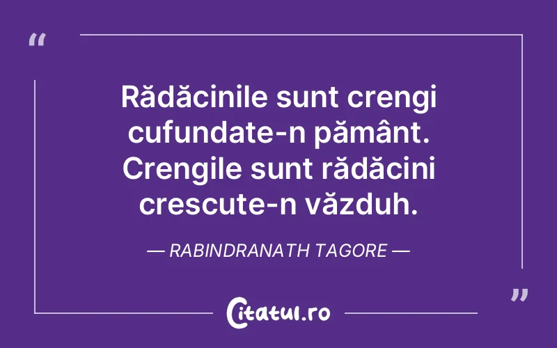 Citat Rabindranath Tagore - citate viata
