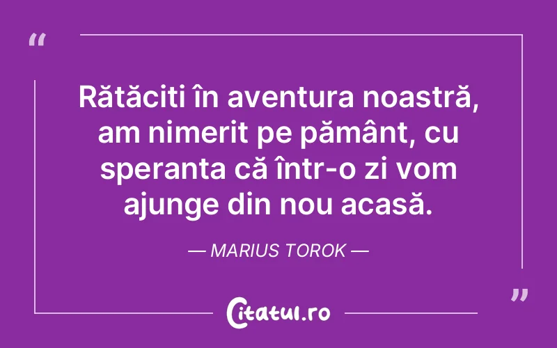 Citat Marius Torok - citate viata