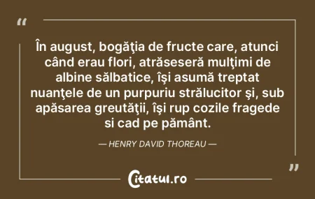 Anca: Da, da Anca: Da, da