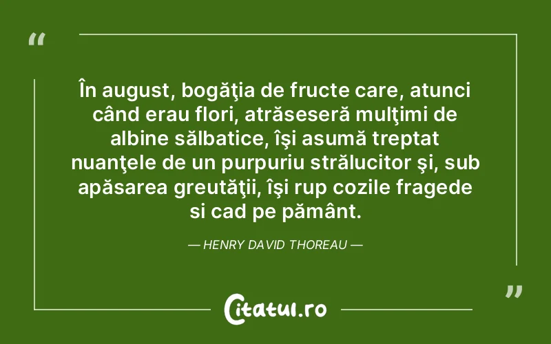 În august, bogăţia de fructe care, atunci când erau flori, atrăseseră mulţimi de albine sălbatice, îşi asumă treptat nuanţele de un purpuriu strălucitor şi, sub apăsarea greutăţii, îşi rup cozile fragede si cad pe pământ. Henry David Thoreau