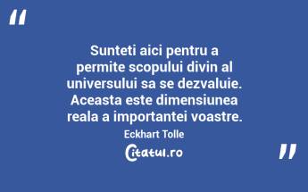 Sunteti aici pentru a permite scopului divin al universului sa se dezvaluie. Aceasta este dimensiunea reala a importantei voastre.  Eckhart Tolle...