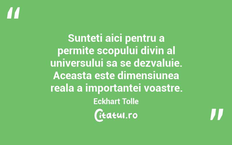 Sunteti aici pentru a permite scopului divin al universului sa se dezvaluie. Aceasta este dimensiunea reala a importantei voastre.  Eckhart Tolle