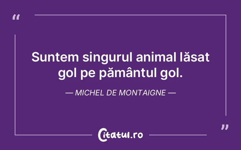 Citat Autor necunoscut - citate viata