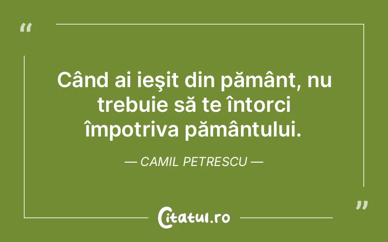 Citat Camil Petrescu - citate viata