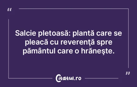 Un nume curat - iată care este ţărân... Un nume curat - iată care este ţărân...