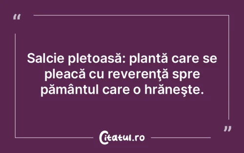 Citat Viață - Citatul.ro
