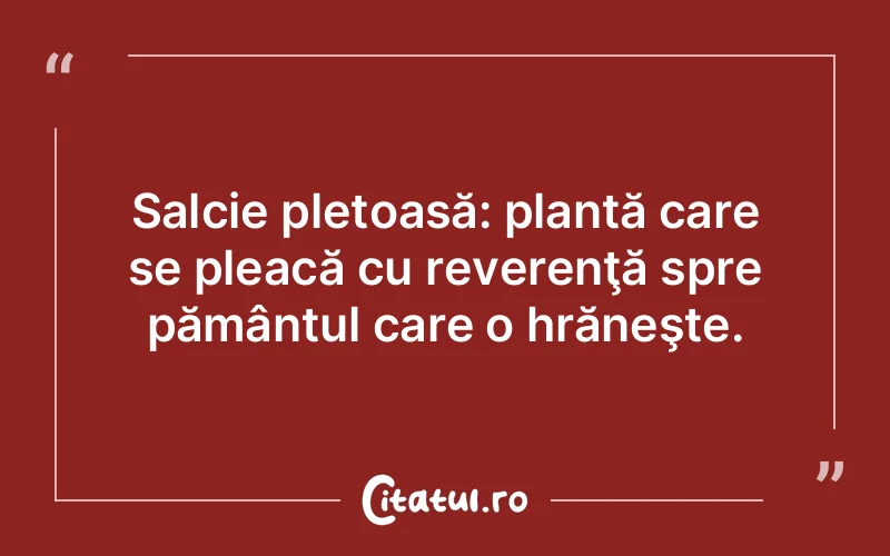 Citat Autor necunoscut - citate viata