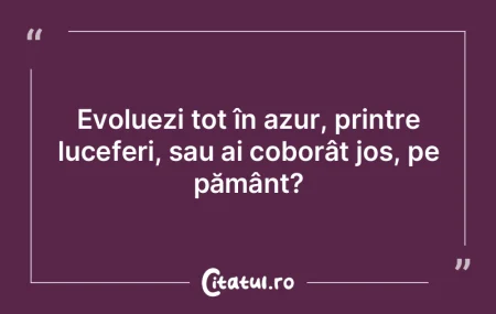 Către sfârşitul nopţii sensul cărţ... Către sfârşitul nopţii sensul cărţ...