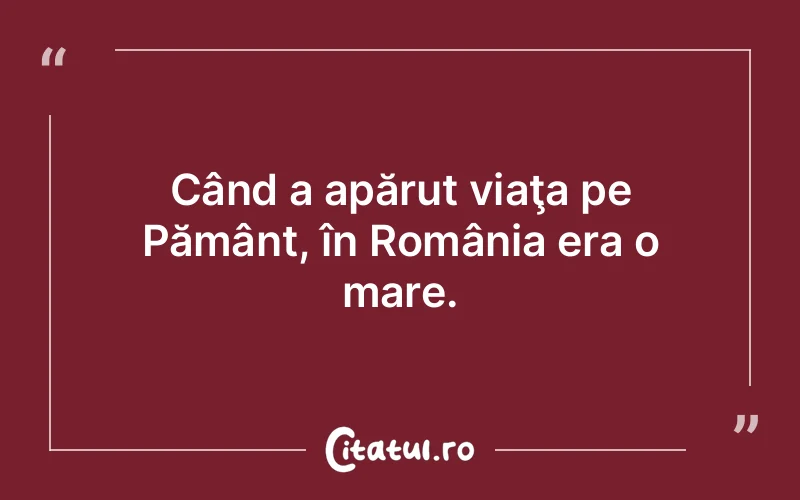 Citat Autor necunoscut - citate viata