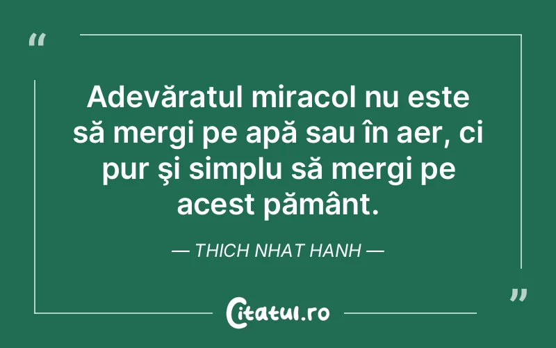 Citat Thich Nhat Hanh - citate viata