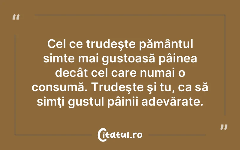 Citat Autor necunoscut - citate viata