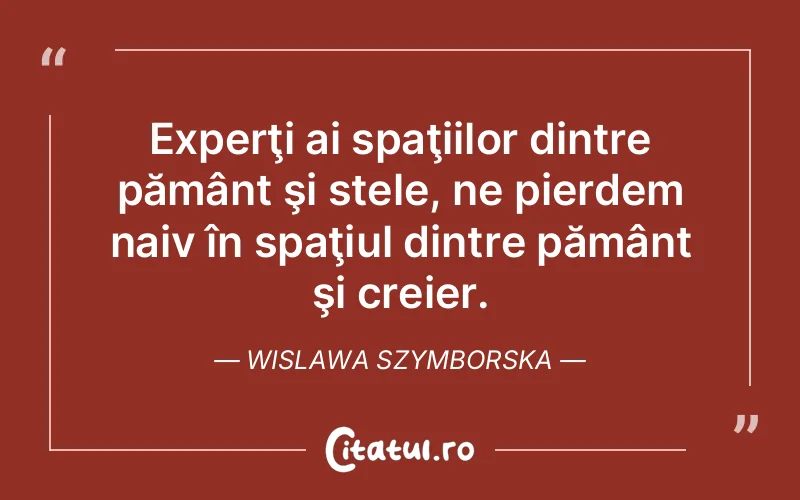 Citat Wislawa Szymborska - citate viata