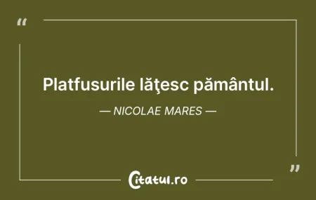 Soarele modifică totul pe pământ. În... Soarele modifică totul pe pământ. În...