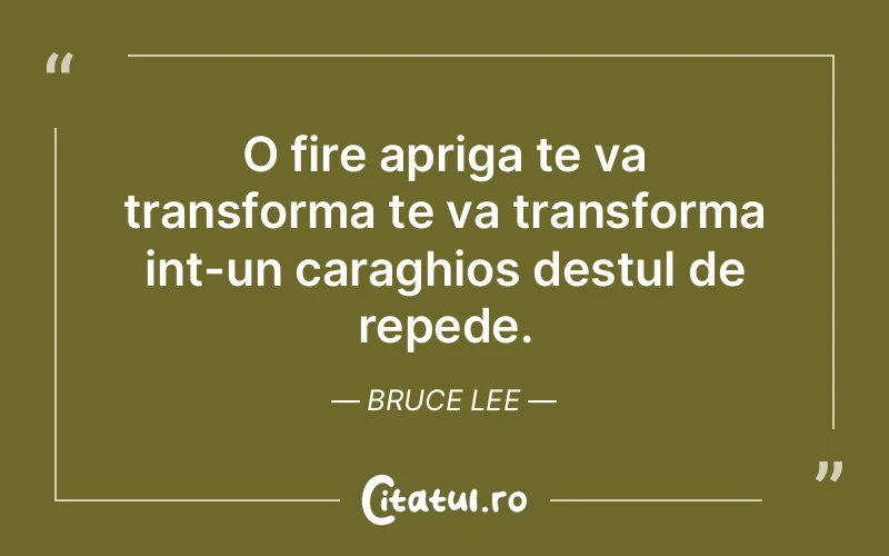 Citat Bruce Lee - citate viata