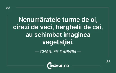 Noi întotdeauna suntem lenţi în a adm... Noi întotdeauna suntem lenţi în a adm...
